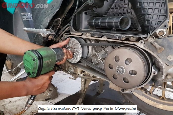 CVT Vario